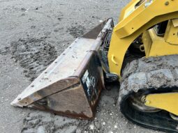 2017 Caterpillar 289D full