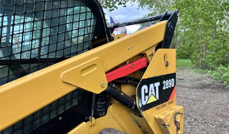 2017 Caterpillar 289D full